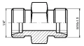 6143.jpg