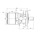 Hydraulikmotor BMRY 250 12kW 470 U/min, Drehmoment der Welle verstärkt auf 470 Nm