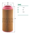 Luftfilter C15 300 P778989 AF26391 WA20840