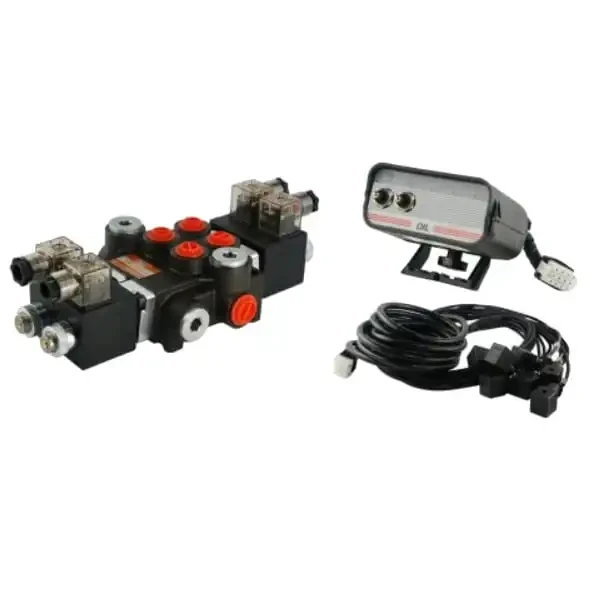 Elektromagnetisches steuerventil 80L 2-Fach 12V im Set mit einem Steuernde Paneel mit Kabel