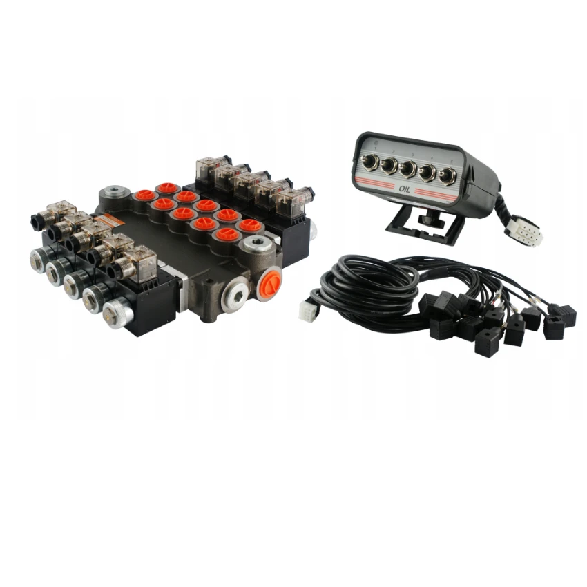 Elektromagnetisches steuerventil 80L 5-Fach 24V im Set mit steurende Paneele mit fünf Tasten
