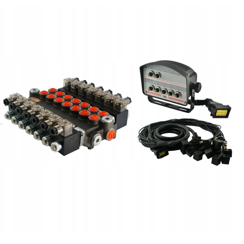 Elektromagnetisches steuerventil 40L 7-Fach 12V im Set mit steurende Paneele mit sieben Tasten