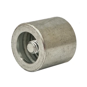 Komplette Raste für Steuerventil P40 HT24