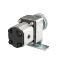 Hydraulikpumpe, Zahnradpumpe Größe 1 1,05 ccm/U linksdrehend mit Vorsatzlager, Halter und Riemenscheibe