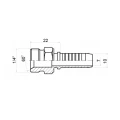 AGR Pressnippel gerade DN10 1SN/2SN 1/4" BSP